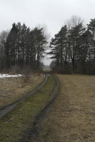 ������ ����