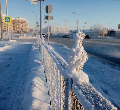 �������� ����