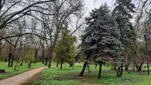 ���������� ����