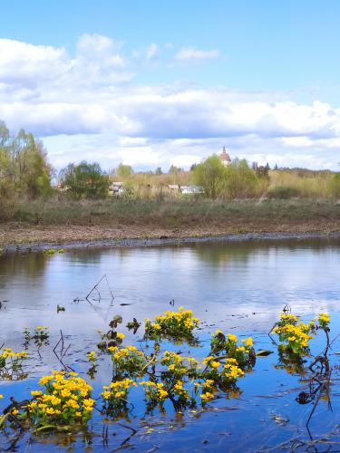 ����� ���� ���������