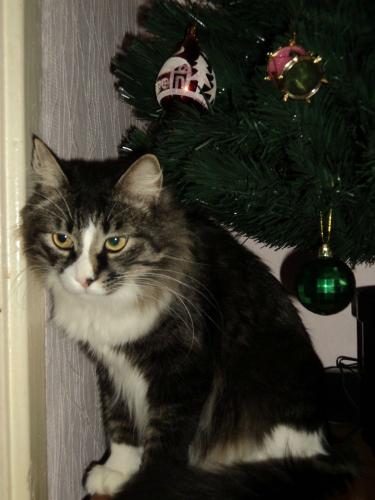 �����������.