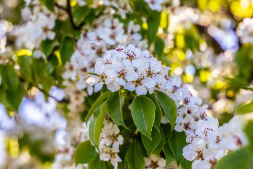 �������� �����