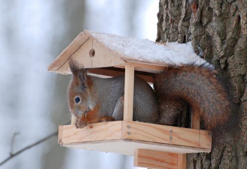 �� �����  ����������