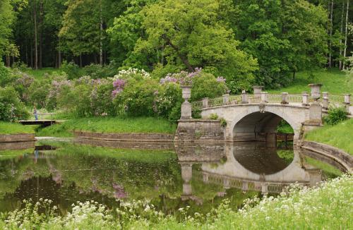 ����������  ����