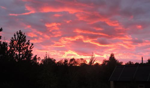 �� ������ ���