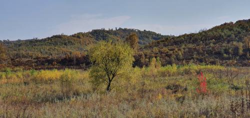 ������ ���