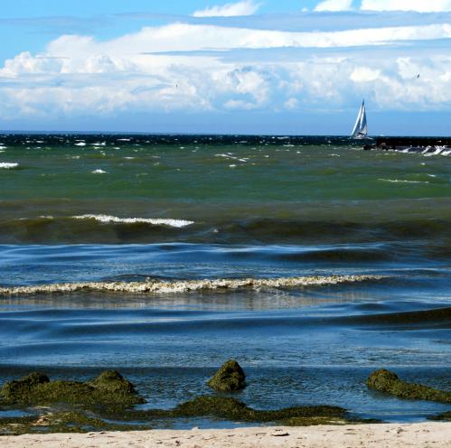 ������  �����  ��������