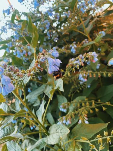 �������� ����� 