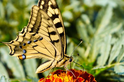 ������� �� ���������