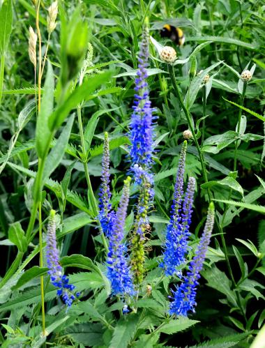 �������