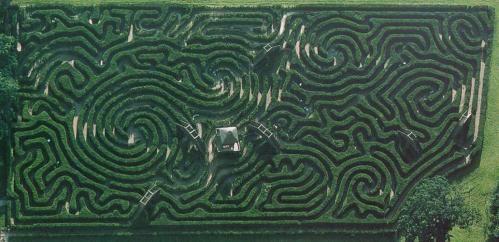 Longleat Hedge Maze