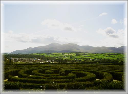 Peace Maze