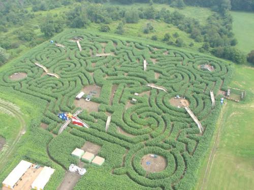 Davis Mega Maze