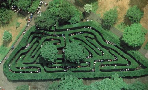 Hampton Court Maze