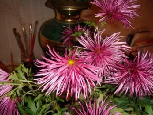 ������ ���� ����������