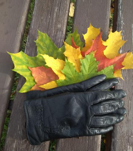 ������� ������� �������