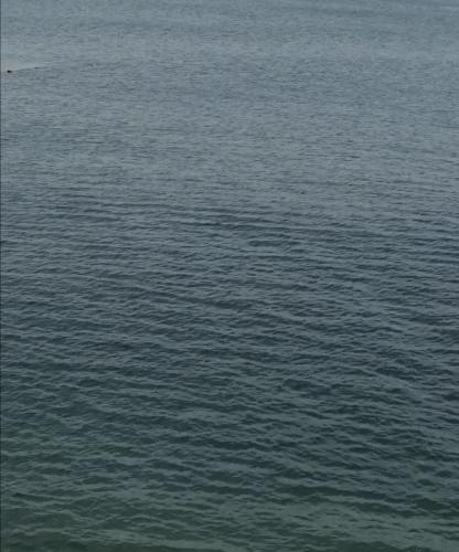 Вода вода кругом вода