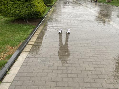 Призрак дождя