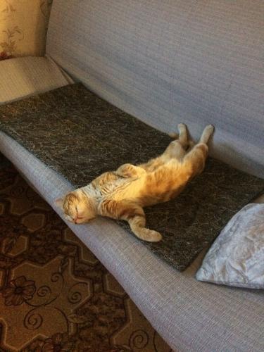 �������