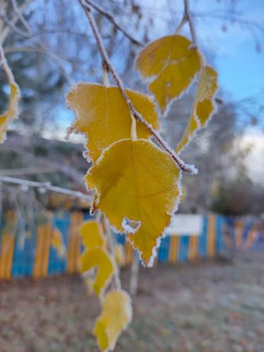 ����� � �����