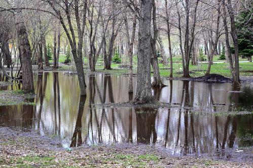 ������ � �����