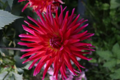 ������� � ��������