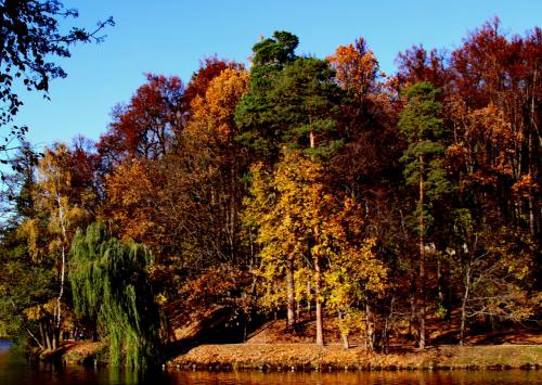 ����� ����������� ������