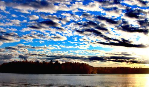 ������ ������