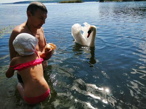 ����� ������ ����� �������