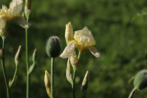 ���� � ���