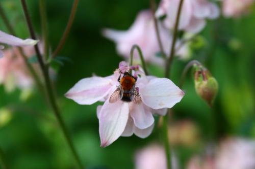 �� ������