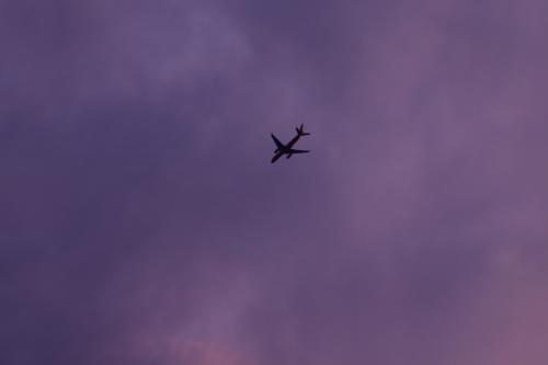 �� ���� �������