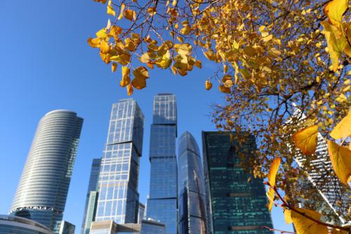 ����� ������ ����� �����������