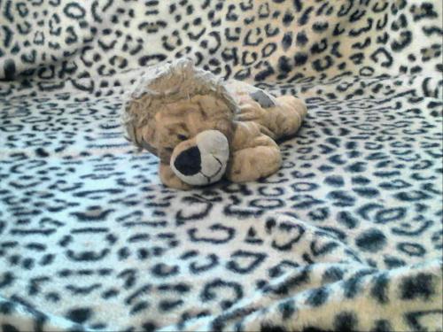 ���������!!