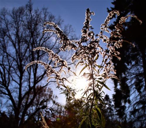 � ����� ���������� ������