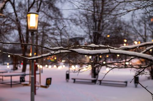 ��������� ����