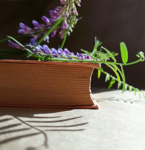 � ������ ����� ���