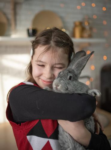 ��� ���� ���� ��� �������