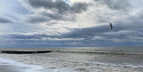 У Черного моря