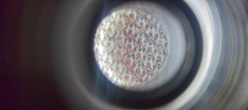 � ��������� 