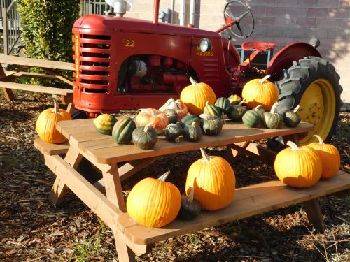 ����������� �����