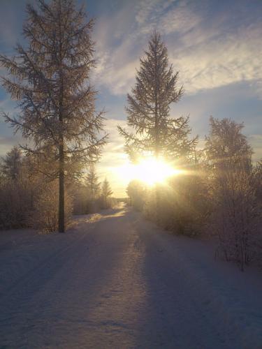 ��������� ������ ����