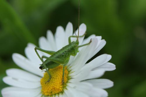 �� ������ ��� ��������