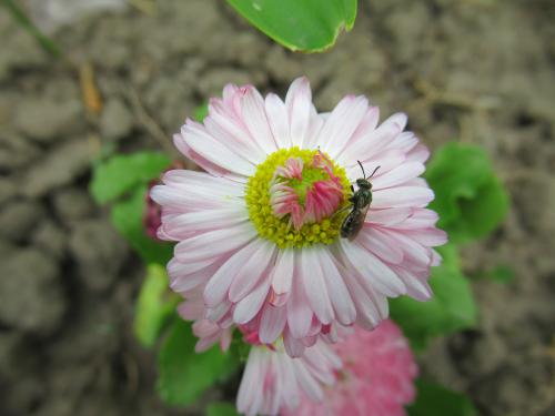 ��������� ������ � ���������� 