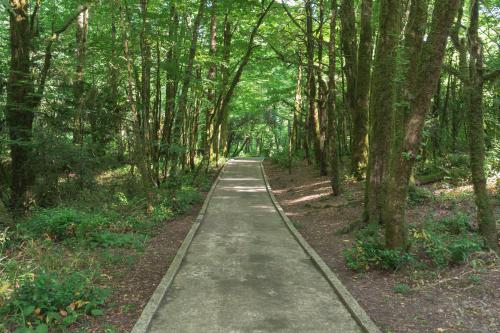 ��� �� ��������� ��������