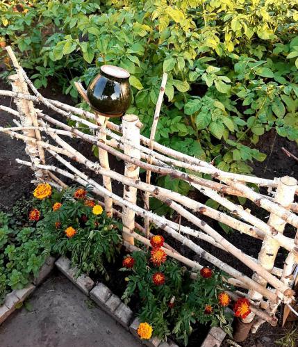 ������� ����