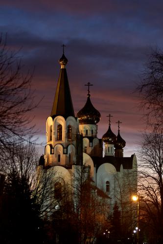 ���� ������� ���� ���������