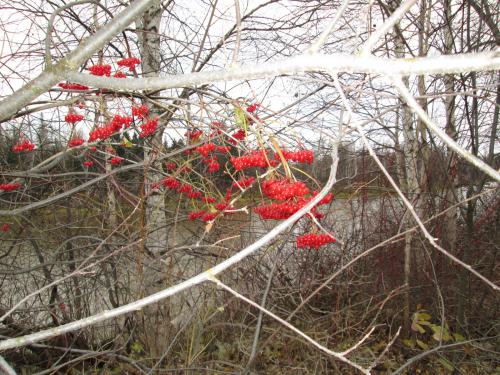 ������ ������� ������ ������