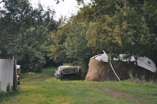 ������ ������� 