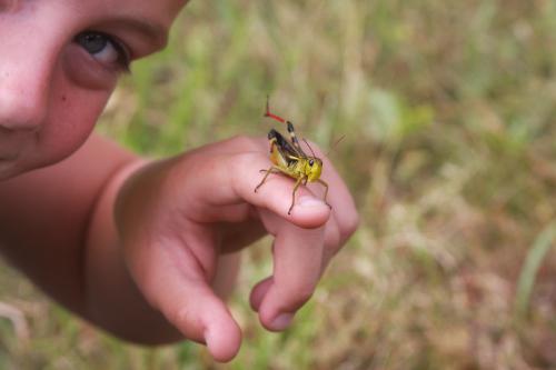 ����������� ������